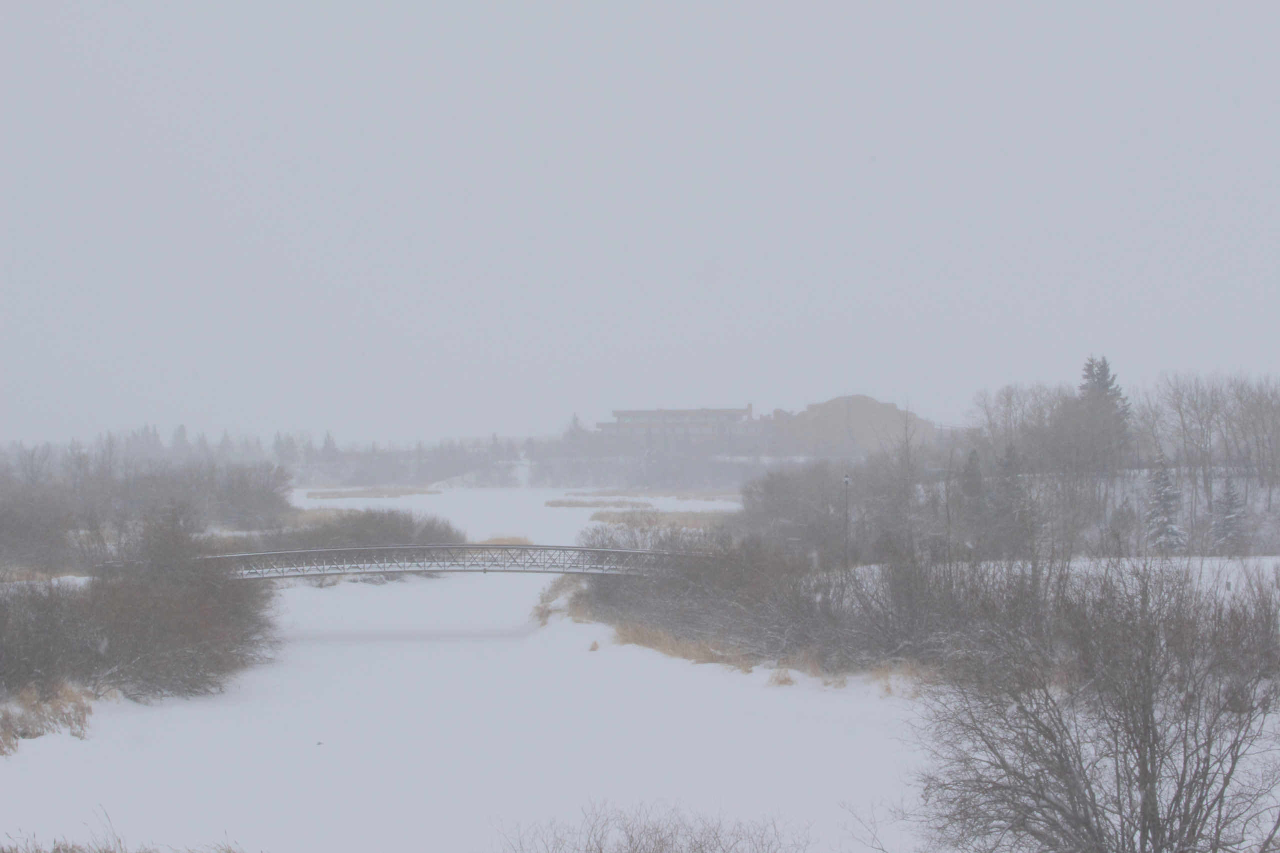 Snowy conditions in Grande Prairie on February 3, 2021 (Donovan Eckstrom, MyGrandePrairieNow.com staff)