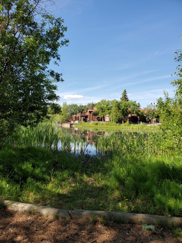 Spotlighting the Swan City as part of National Tourism Week