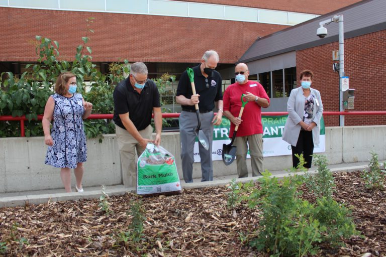 International Paper Garden unveiled at QEII Hospital