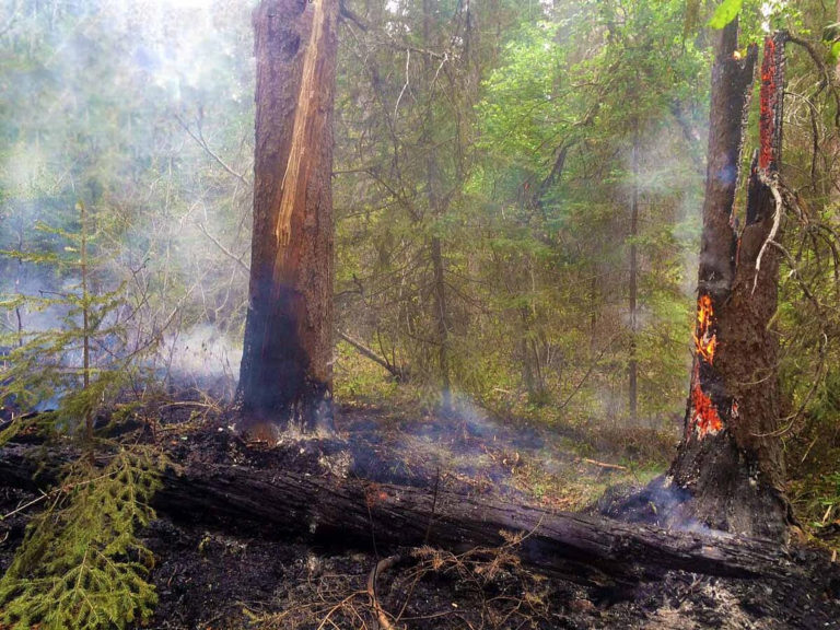 Alberta wildfire level upgraded to high in Grande Prairie area