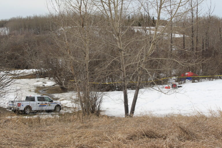 Human remains found in snow near Bear Creek