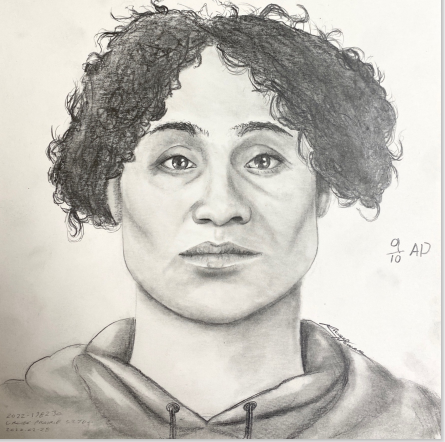 Grande Prairie RCMP search for person of interest connected to sexual assault investigation