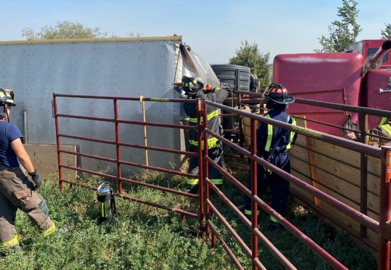 Specialty equipment used to extract animals following cattle trailer rollover