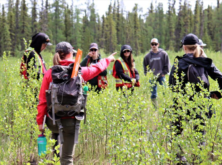 Researchers to conduct ecosystem restoration experiment in Grande Prairie Boreal Wetland Centre