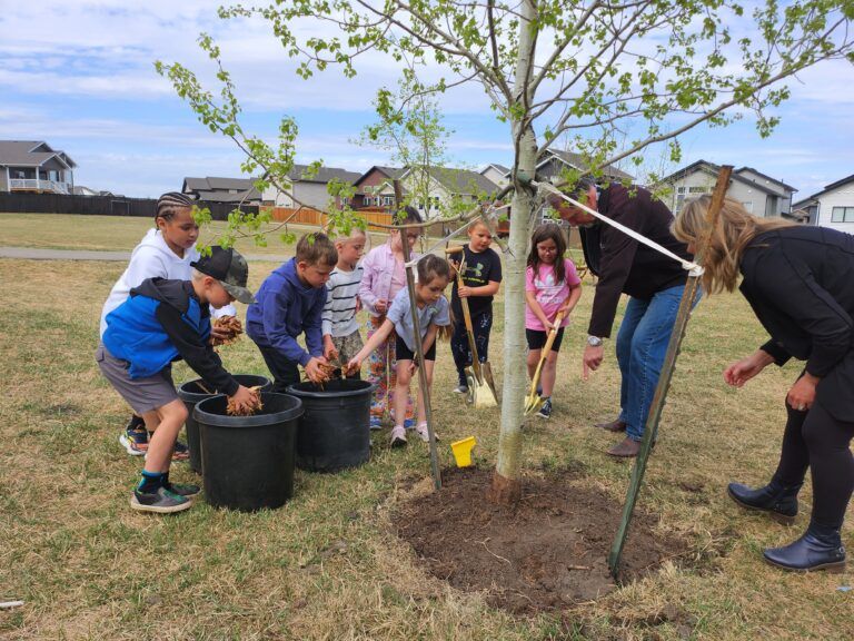 New tree planted at Whispering Ridge Community School to celebrate Arbor Day