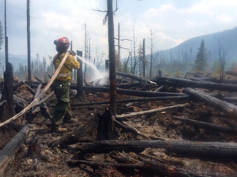 Grande Prairie Forest Area wildfire danger low