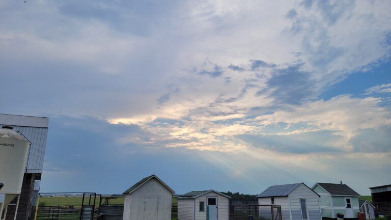 Severe thunderstorm watch issued for Grande Prairie region