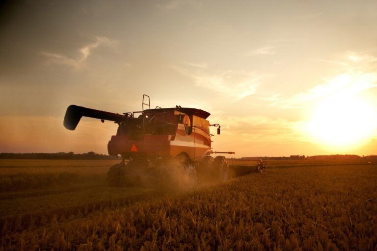 County declares agriculture disaster for 2025 growing season