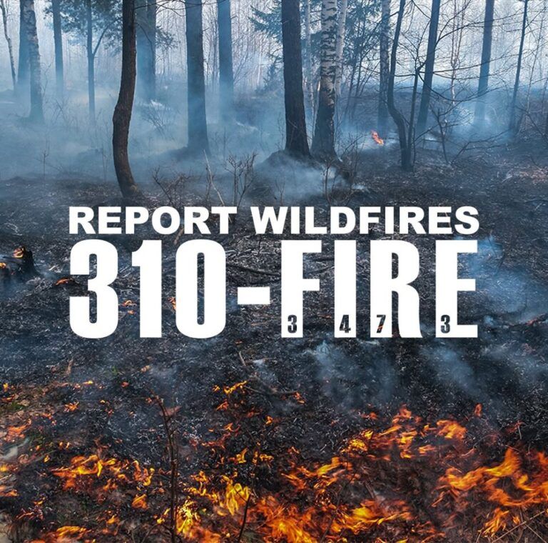 Fire danger considered “moderate” in Grande Prairie Forest Area