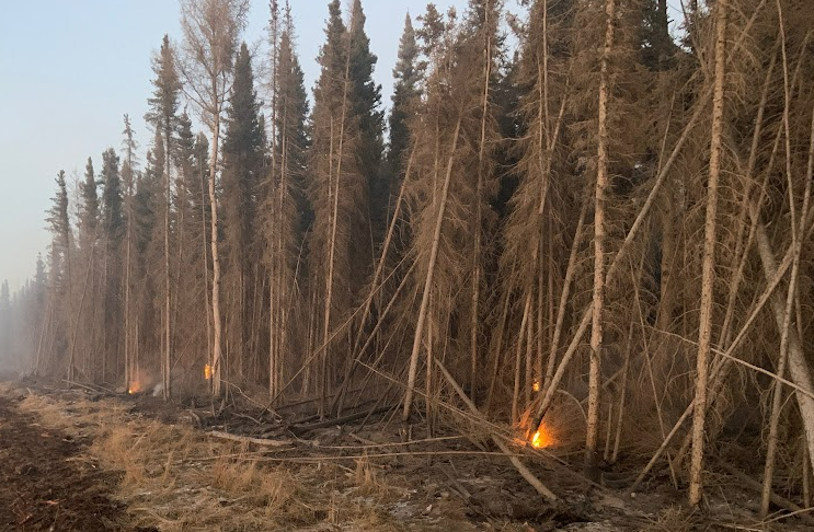 Alberta Wildfire monitoring 19 new forest fires, two in Grande Prairie region, since Halloween