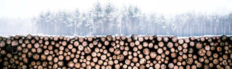 ‘A’ woody biomass rating could open up regional bioenergy opportunities