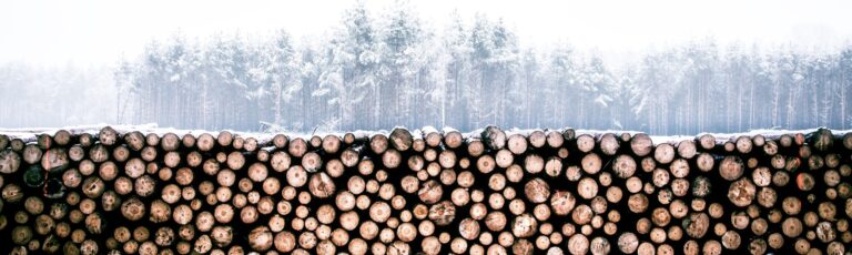 ‘A’ woody biomass rating could open up regional bioenergy opportunities