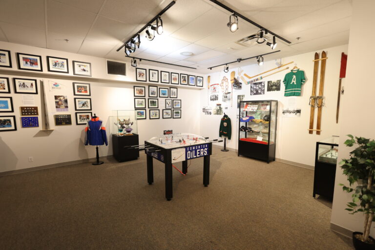 Numerous regional museums to celebrate International Museum Day