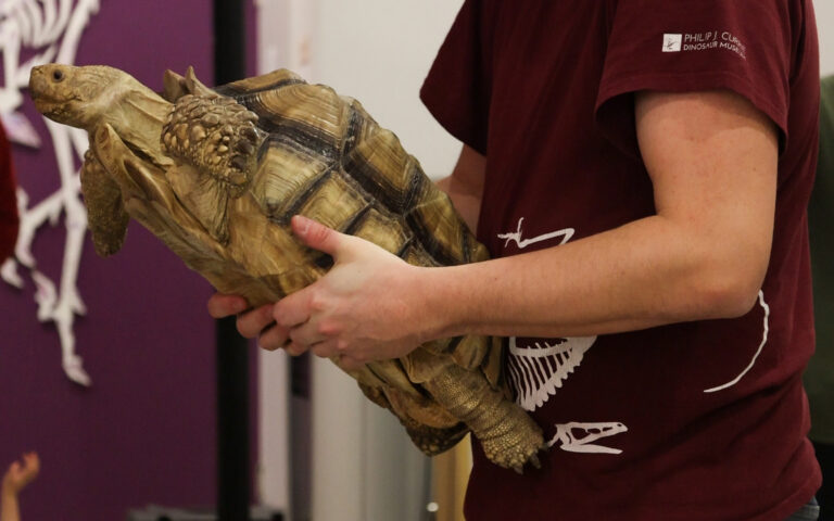 Why living specimens serve as reminders of Earth’s history: Philip J. Currie Dinosaur Museum