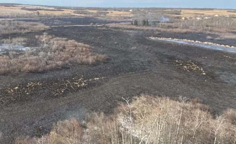 UPDATED: Crews bring Clairmont wildfire under control