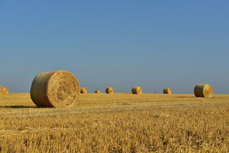 County of GP declares this year an “agricultural disaster,” Reeve Marshall responds