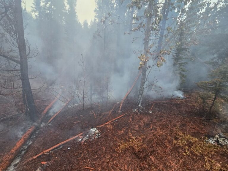 County Regional Fire Service brings two weekend wildfires under control