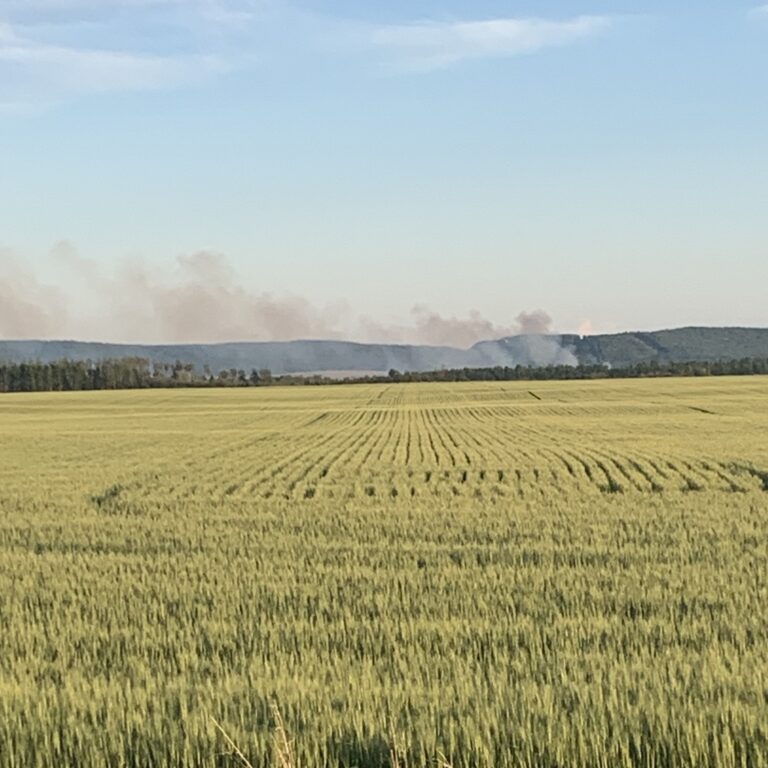 Crews continue to battle wildfire in Saddle Hills County