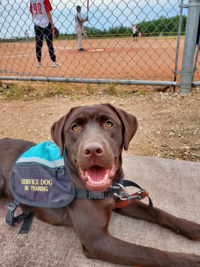 Local service helping guide residents over potential service animal hurdles