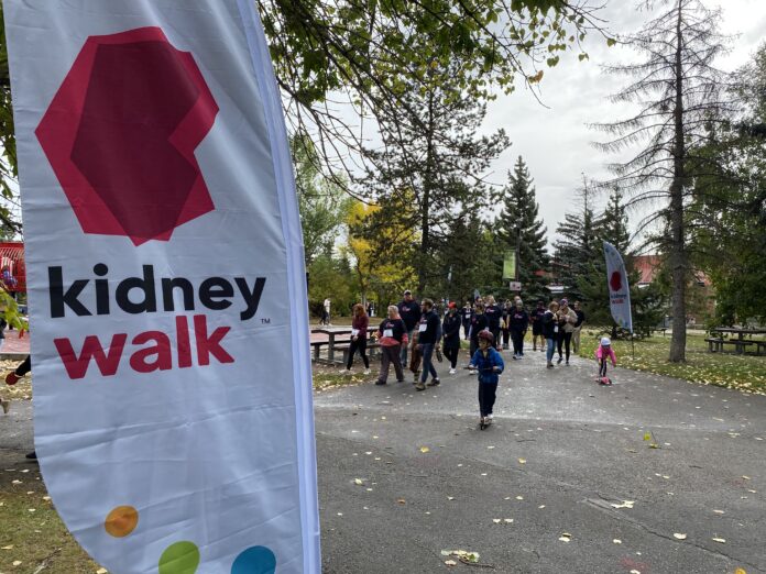 Grande Prairie Kidney Walk 2024 (Ethan Montague, mygpnow.com staff)