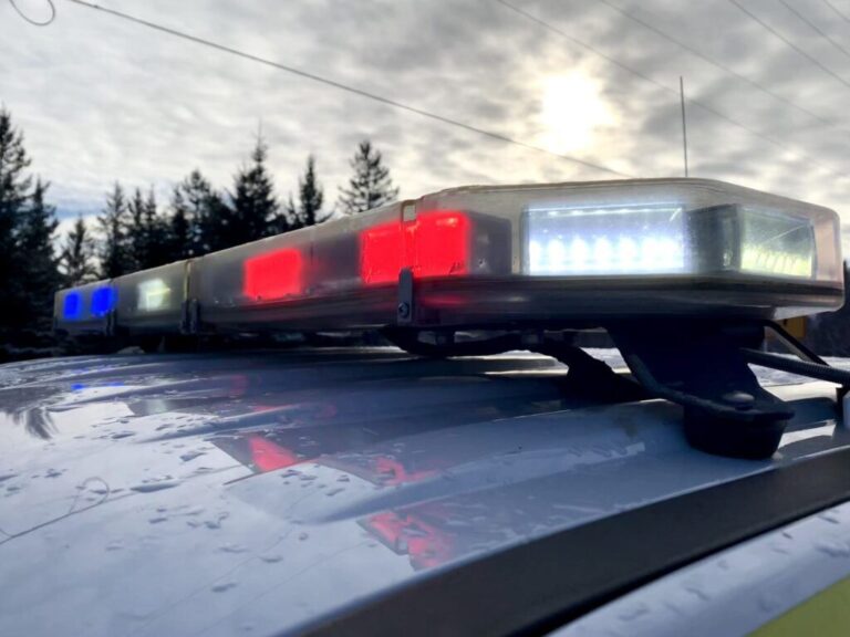 Two charged after allegedly striking, fleeing from police vehicle