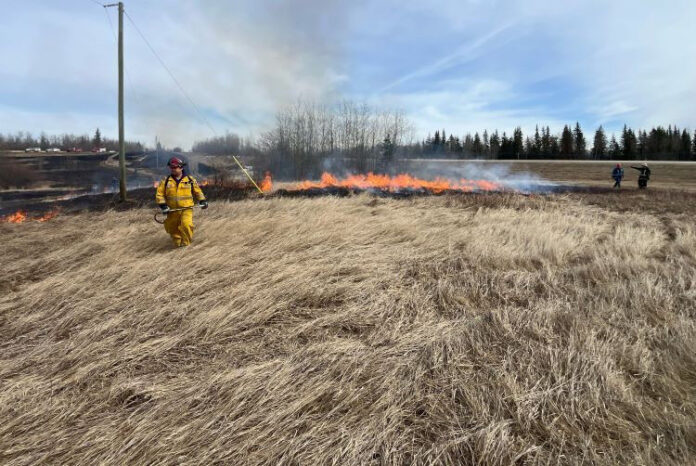 Controlled burns near Sturgeon Lake (Supplied, Alberta Wildfire)