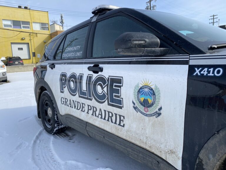 GPPS Community Standards Unit, GPFD board up flop house in Cobblestone