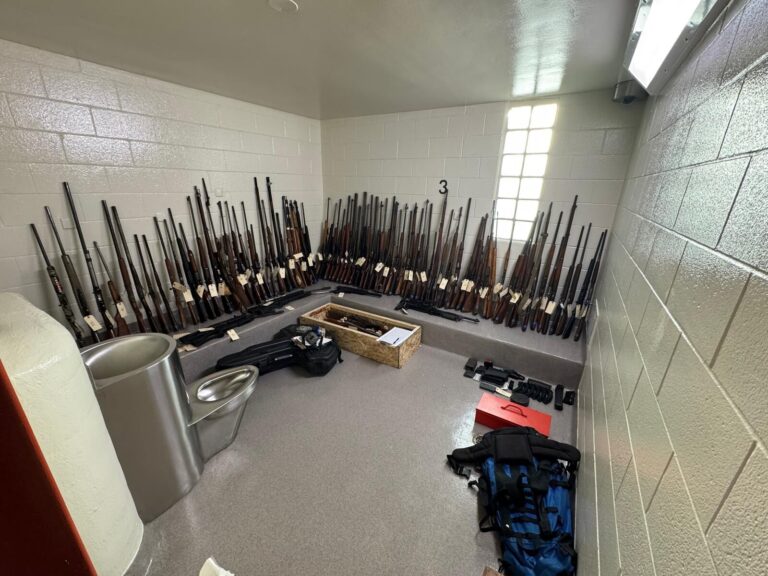 91 weapons among stolen items seized from Fairview property