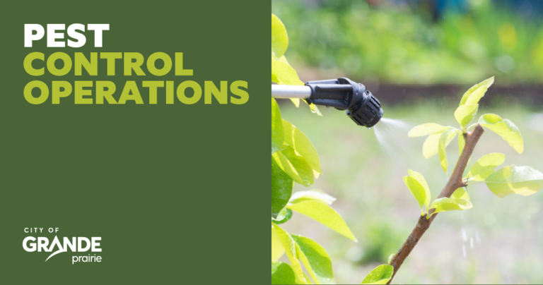 City of GP beginning pest control operations in May