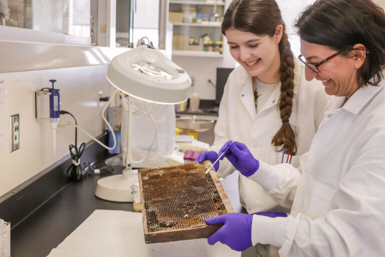 NWP receives $195K grant to research insecticide resistance in harmful-to-honeybees mite