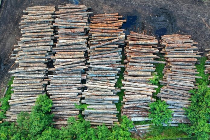 Lumber (Supplied, Pexels)