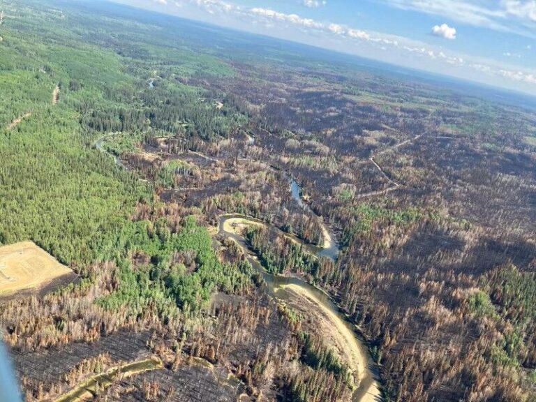 County drops evacuation alerts as Kiskatinaw River Wildfire listed as held