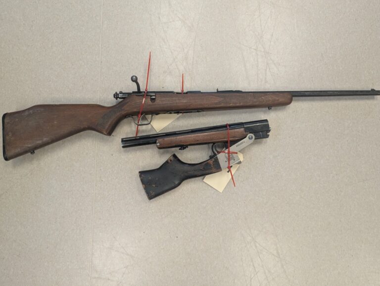 Fairview duo arrested on gun charges after allegedly fleeing police