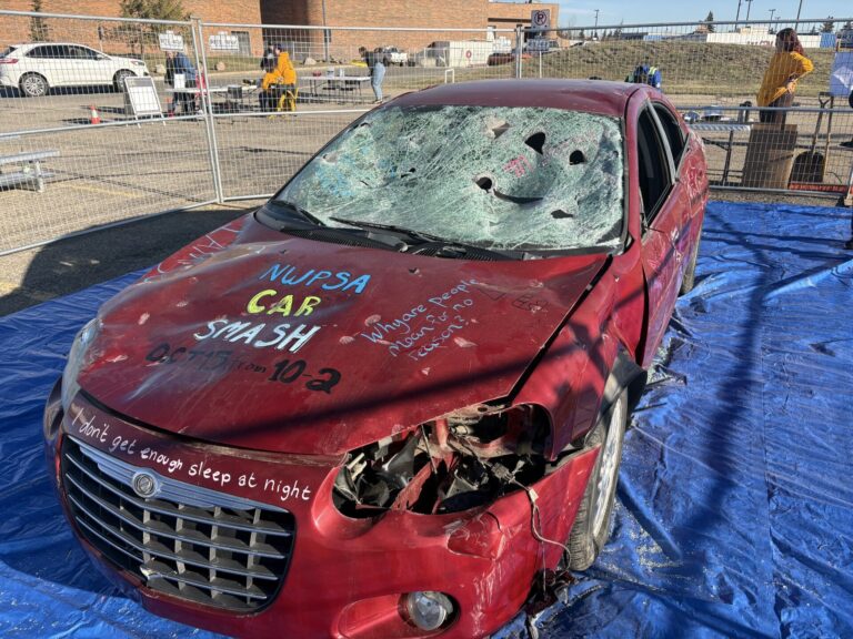 NWP student fundraiser a real smash